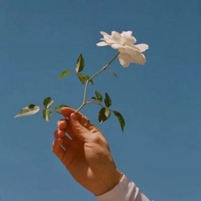 手机最快开奖结果