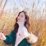 BB贝博ballbet官网登录器